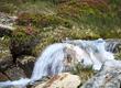 Ruisseau de montagne dans la vallée de Saas